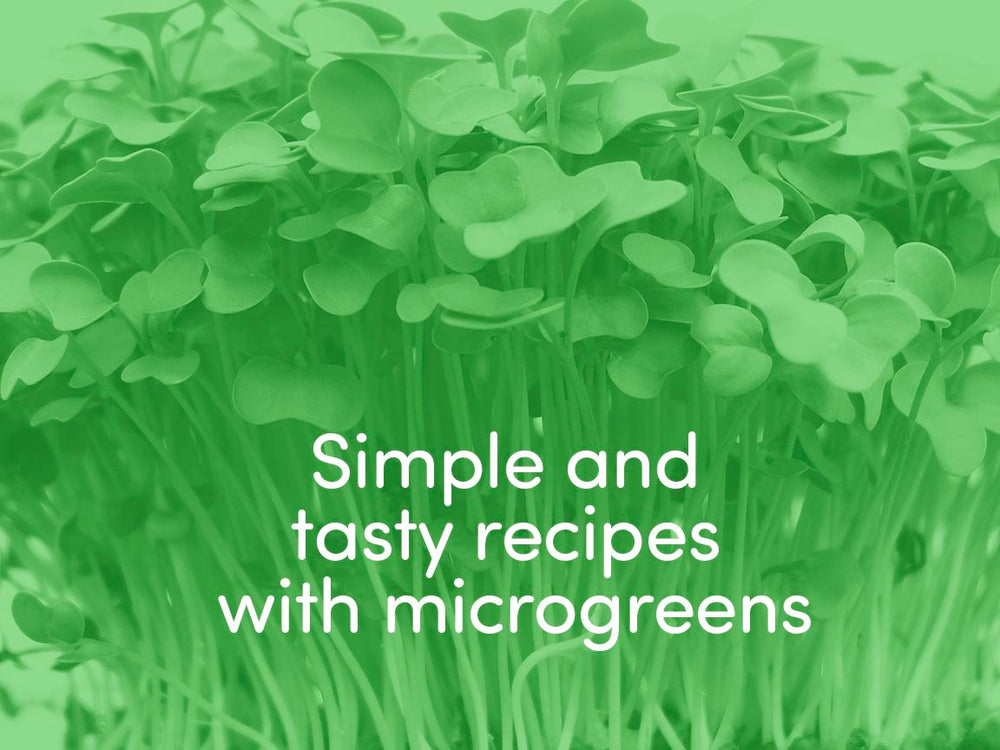 Simple and Tasty Recipes with Microgreens