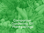Companion Gardening 101: Plant Pairings to Help your Garden Thrive!