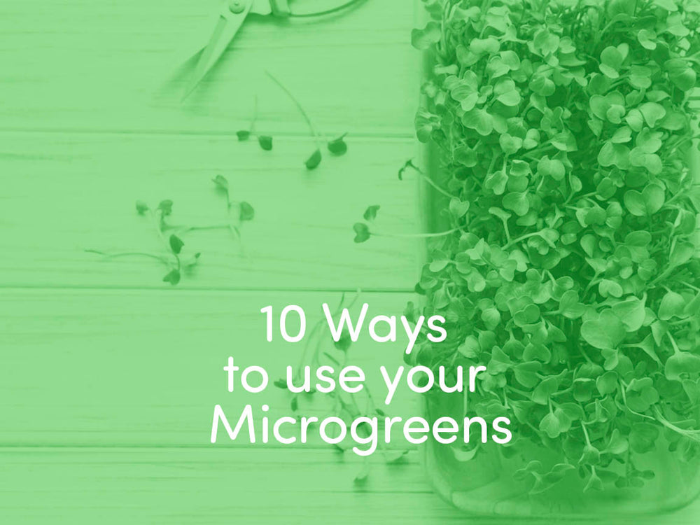10 ways to use your Microgreens