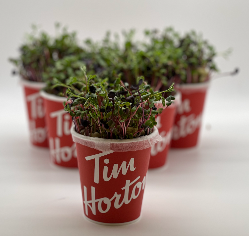 
            
                Load image into Gallery viewer, Tim Hortons Microgreen Class Package
            
        
